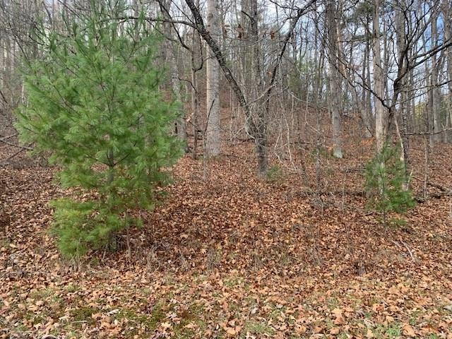 Tbd Lower Back Creek Road Monterey, VA 24465 - Photo 4 of 8