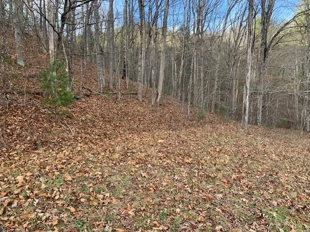 $200,000 | Tbd Lower Back Creek Road, Monterey, VA 24465