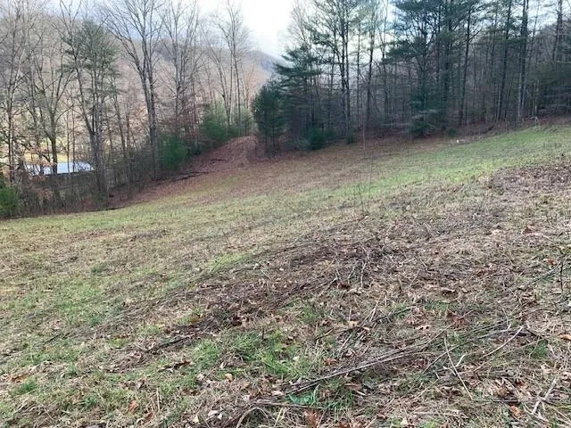 $200,000 | Tbd Lower Back Creek Road, Monterey, VA 24465