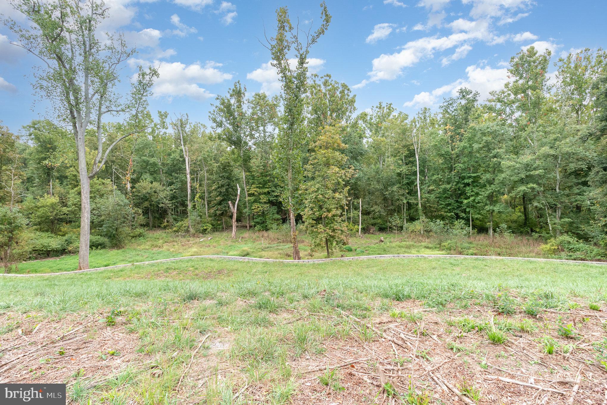 1130 McCormick Road Mechanicsburg, PA 17055 - Photo 12 of 14 a view of outdoor space with trees all around