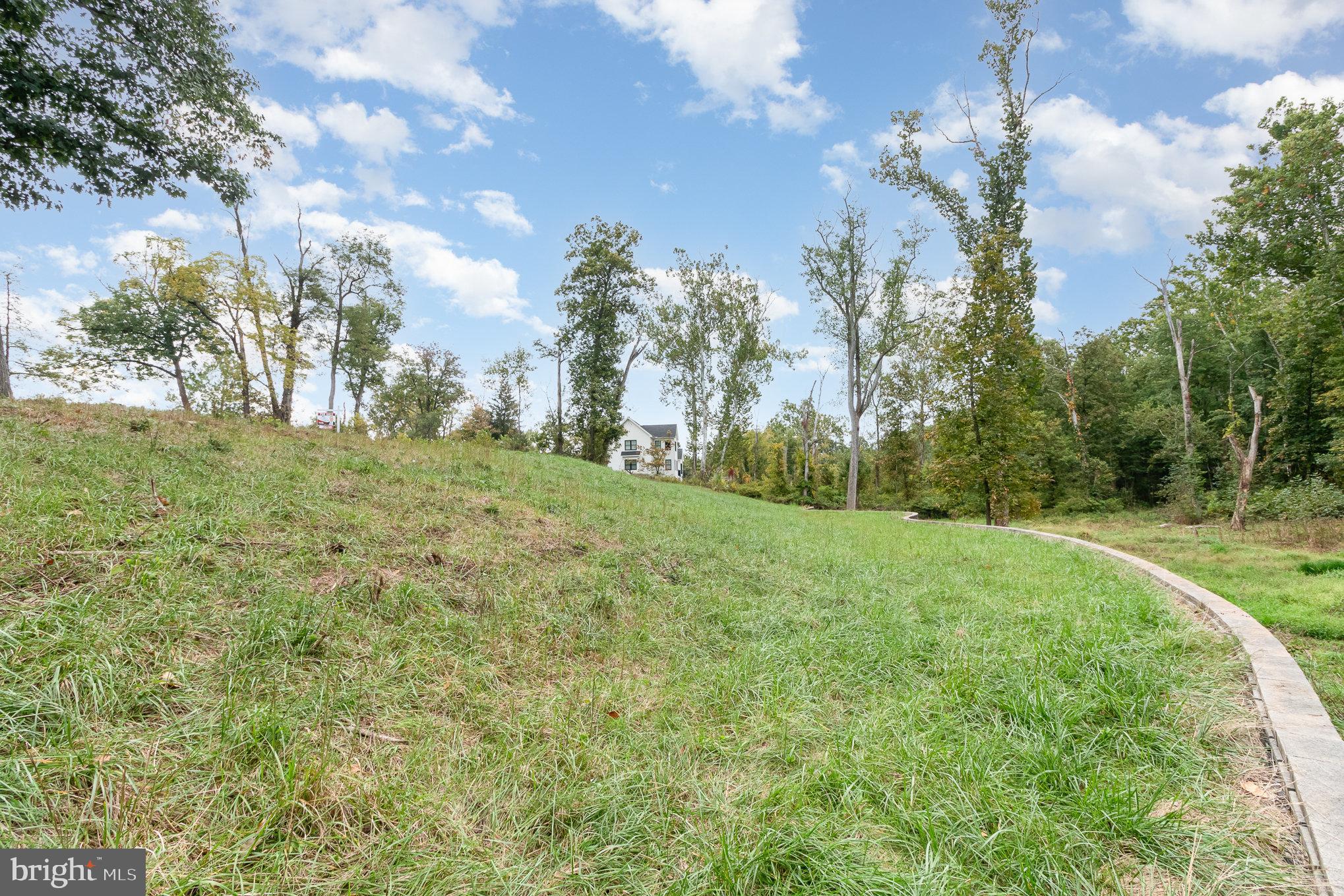 1130 McCormick Road Mechanicsburg, PA 17055 - Photo 5 of 14 a view of a big yard with large trees