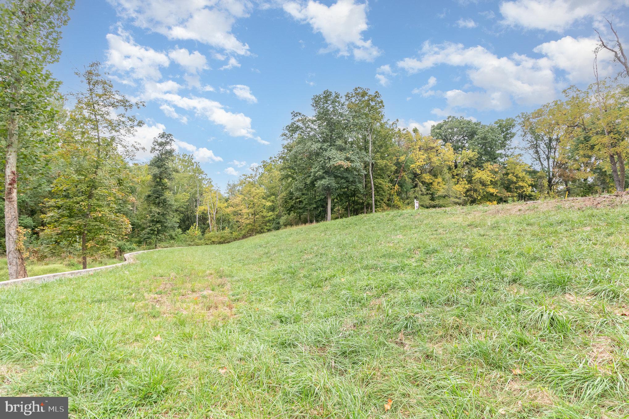 1130 McCormick Road Mechanicsburg, PA 17055 - Photo 8 of 14 a view of yard with green space