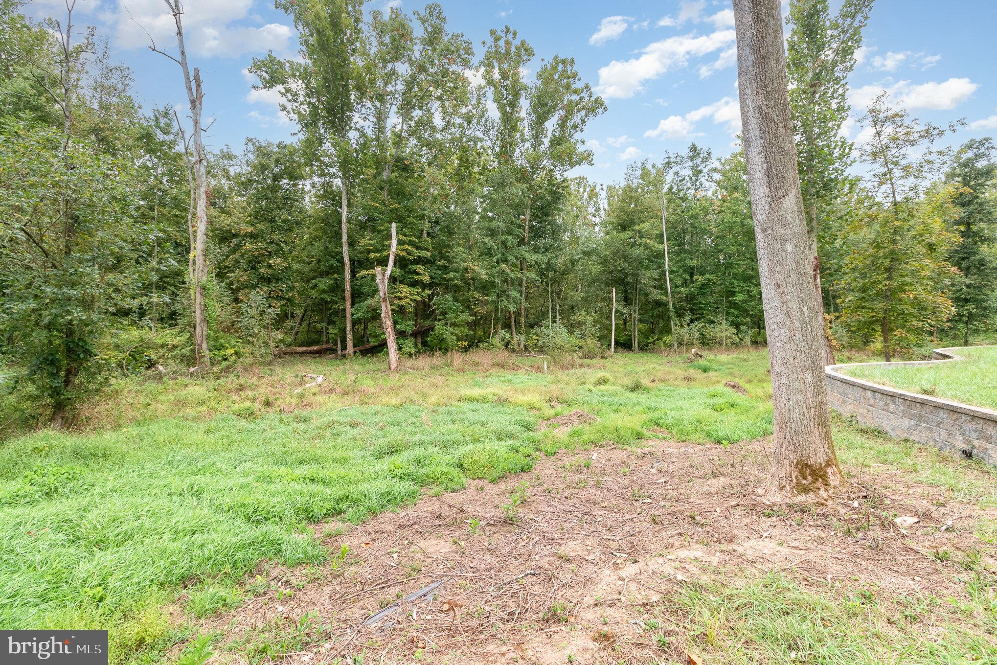 1130 McCormick Road Mechanicsburg, PA 17055 - Photo 9 of 14 a view of a yard with large trees