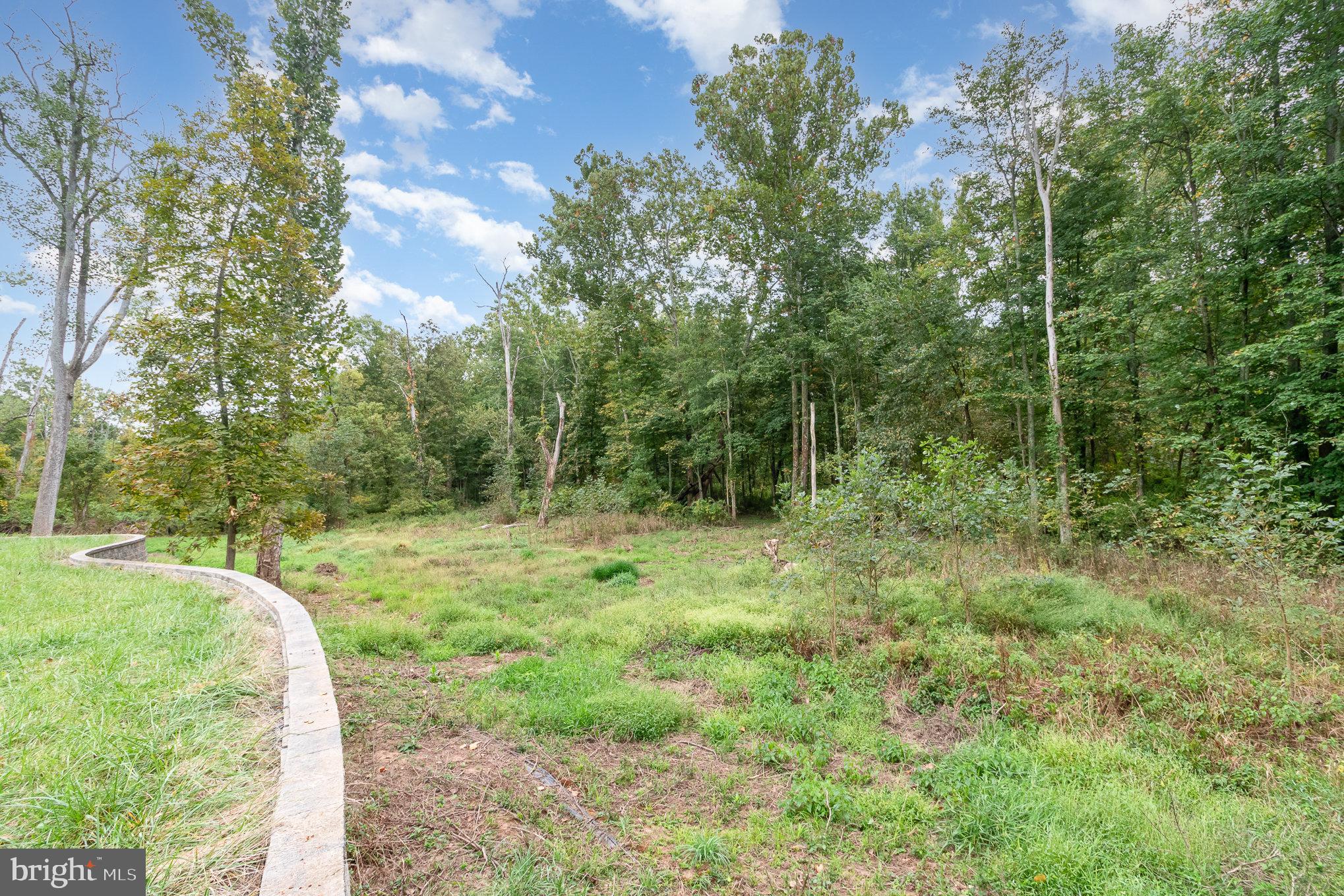 1130 McCormick Road Mechanicsburg, PA 17055 - Photo 10 of 14 a view of a yard with large trees