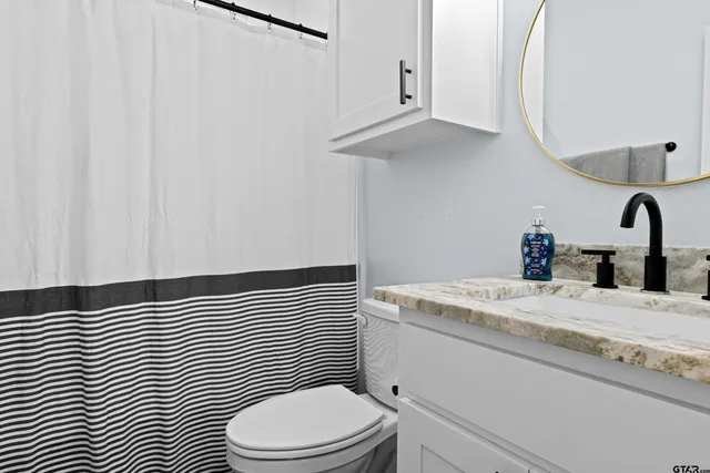 a bathroom with a sink a toilet and a mirror