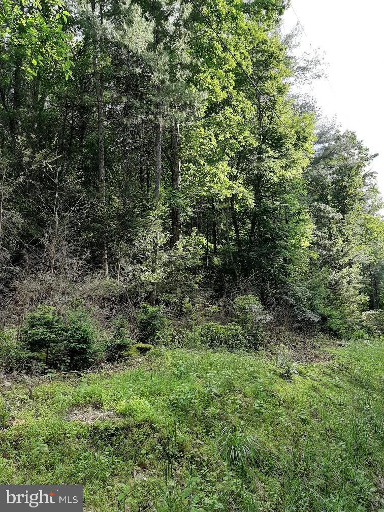 Lot # Rupp Road Elliottsburg, PA 17024 - Photo 1 of 4 Gallery Image 1