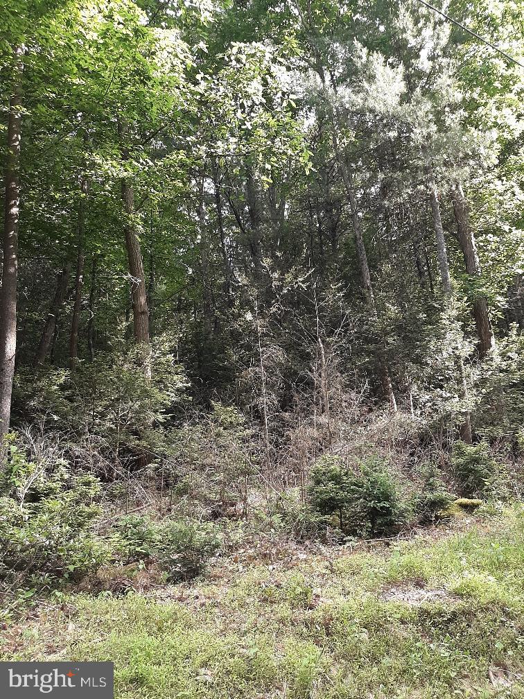 Lot # Rupp Road Elliottsburg, PA 17024 - Photo 2 of 4 Gallery Image 2