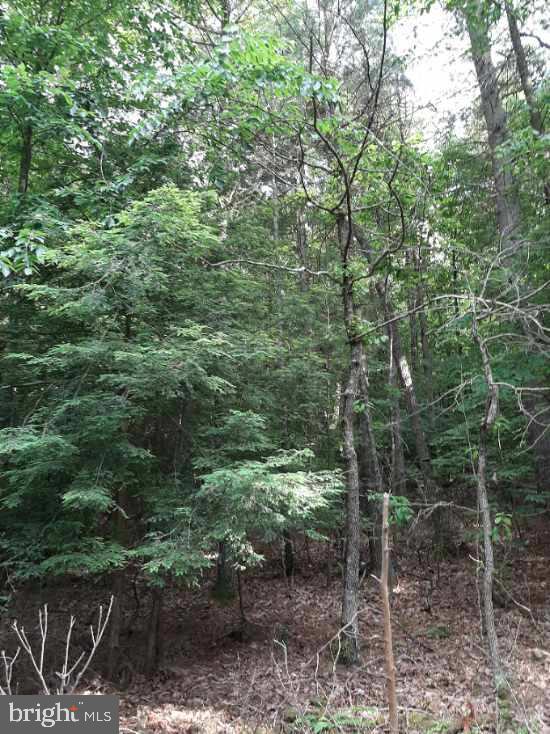 Lot # Rupp Road Elliottsburg, PA 17024 - Photo 4 of 4 Gallery Image 4
