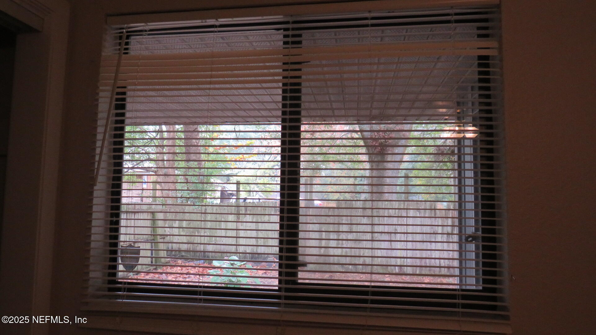 1160 Mohawk Street, Unit 2 Jacksonville, FL 32205 - Photo 9 of 9 a view of a window and a window