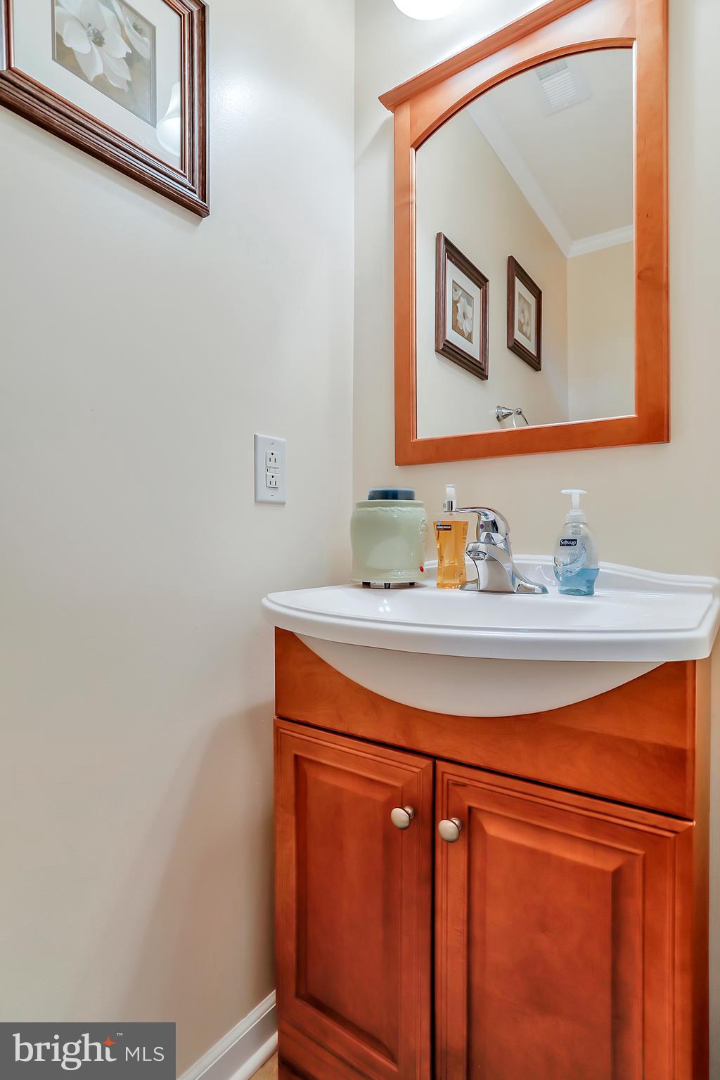 46 Streamside Place Falling Waters, WV 25419 - Photo 7 of 41