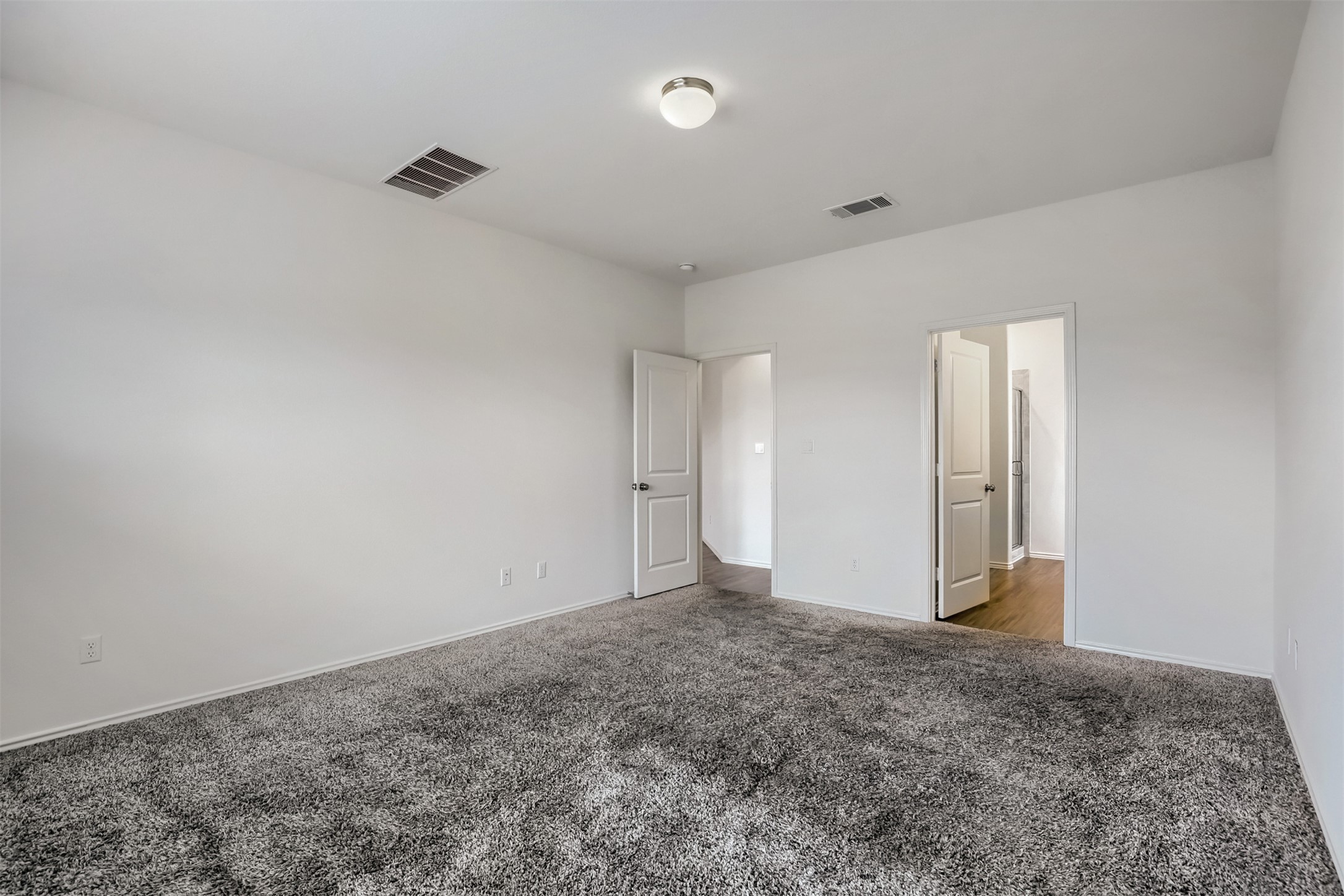 721 Mallow Road Leander, TX 78641 - Photo 12 of 22 This room features plush grey carpeting, white walls, and a ceiling light fixture