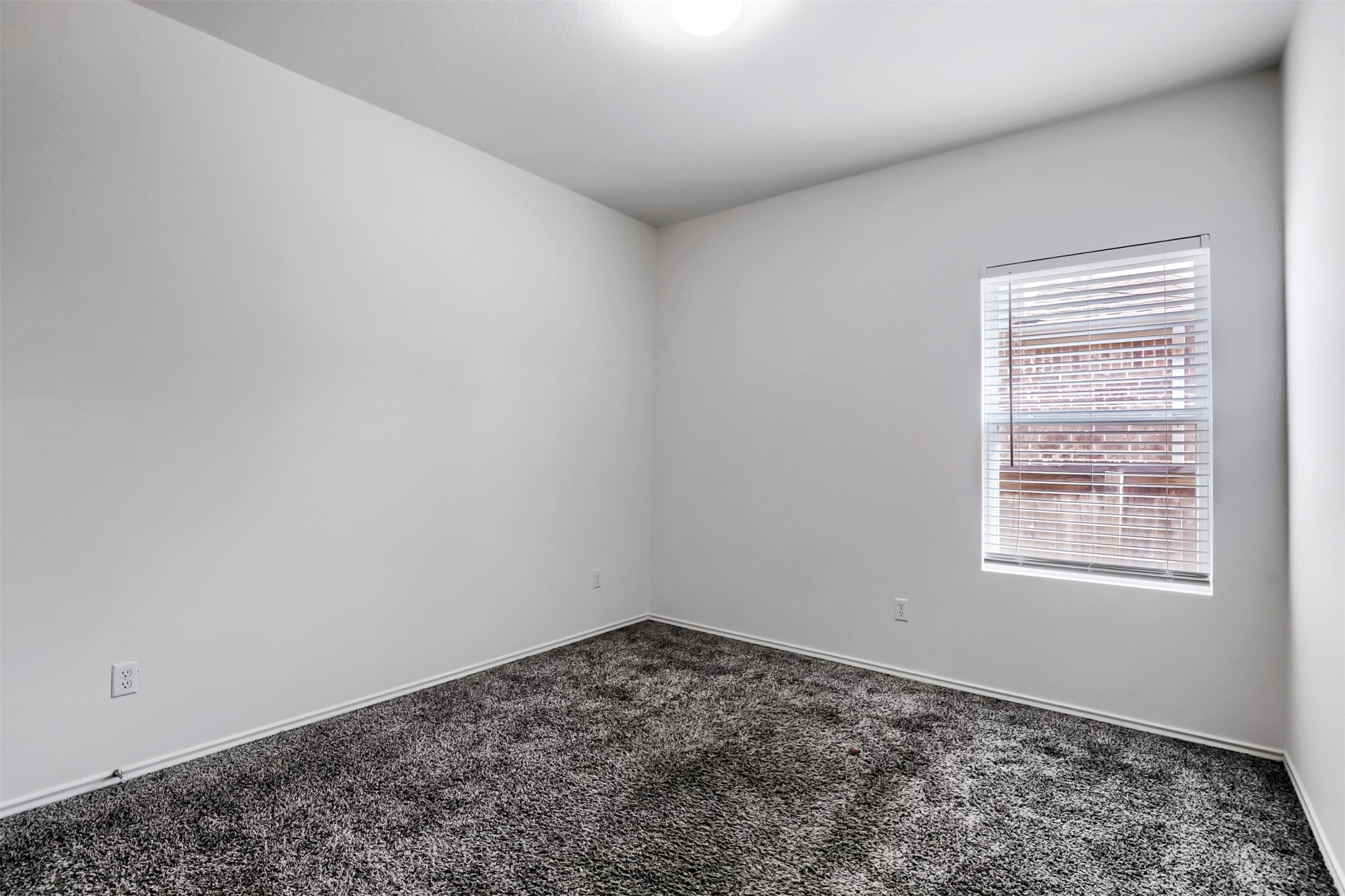 721 Mallow Road Leander, TX 78641 - Photo 16 of 22 This room features light-colored walls, dark gray carpeting, and a window with blinds