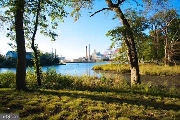 a view of a tennis ground with large trees