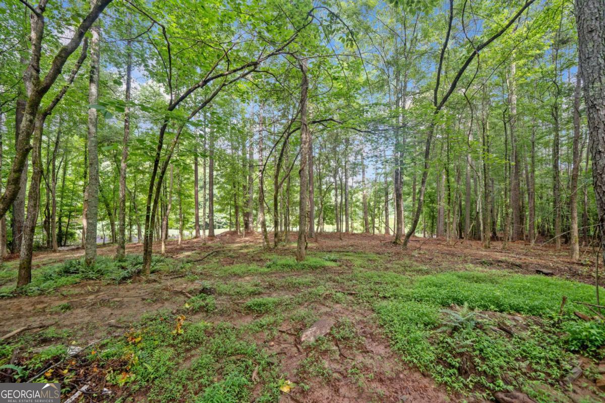 230 Brock Trail, Unit 5 Milton, GA 30004 - Photo 11 of 28 a view of outdoor space with trees