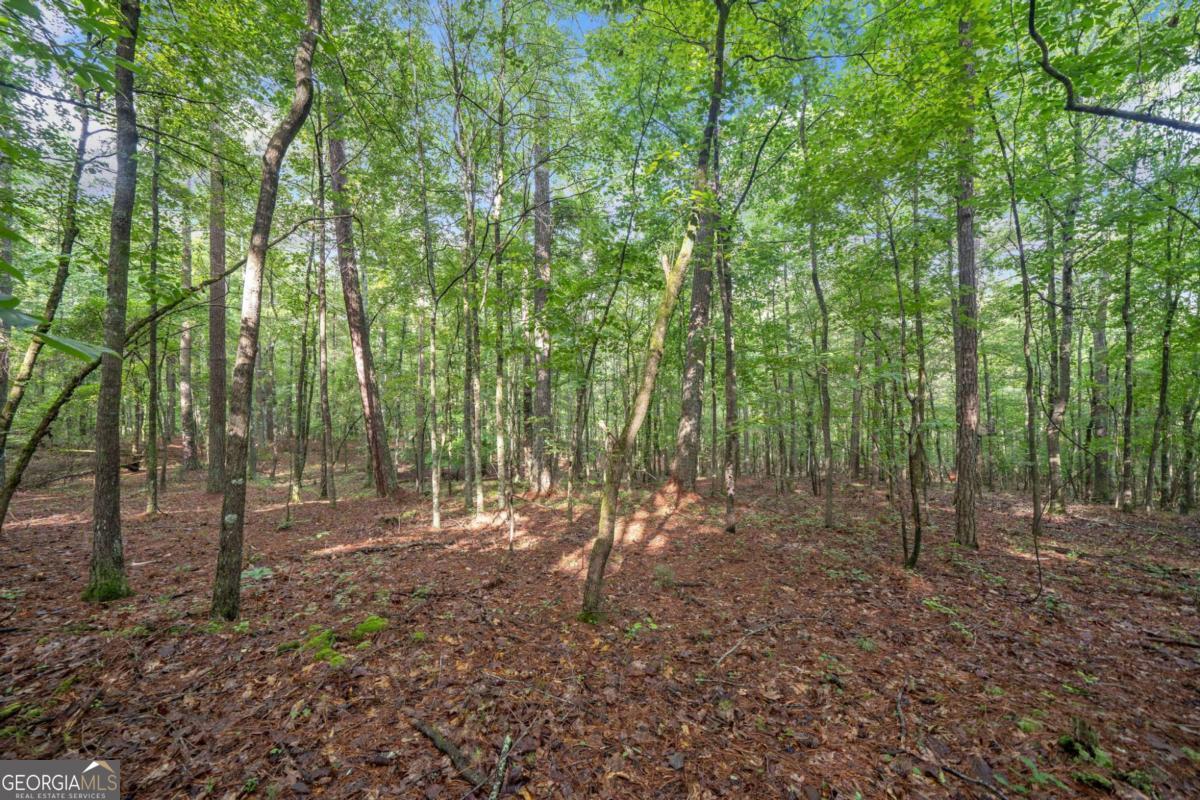230 Brock Trail, Unit 5 Milton, GA 30004 - Photo 12 of 28 a view of outdoor space and green space