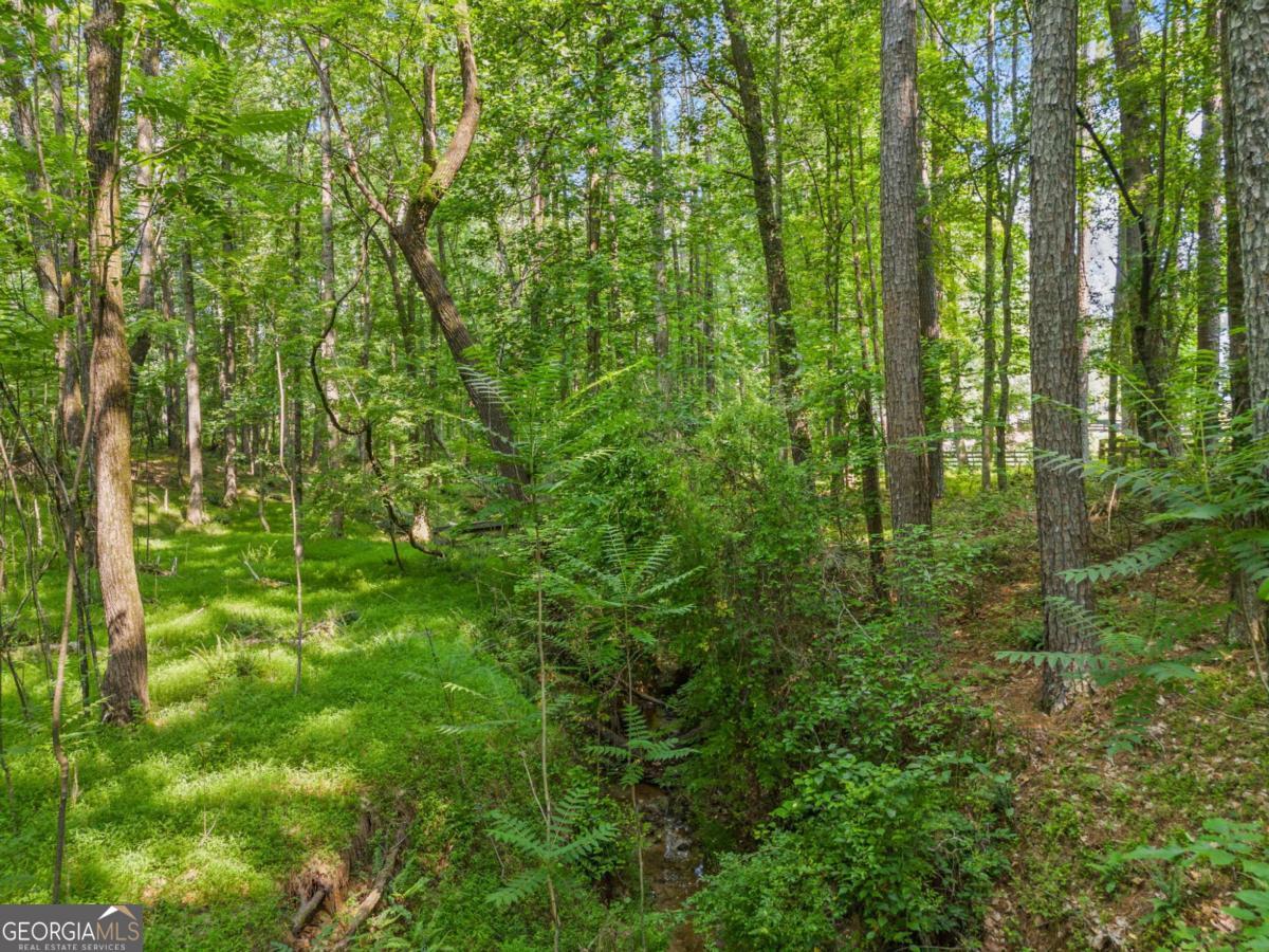230 Brock Trail, Unit 5 Milton, GA 30004 - Photo 21 of 28 a view of a lush green forest