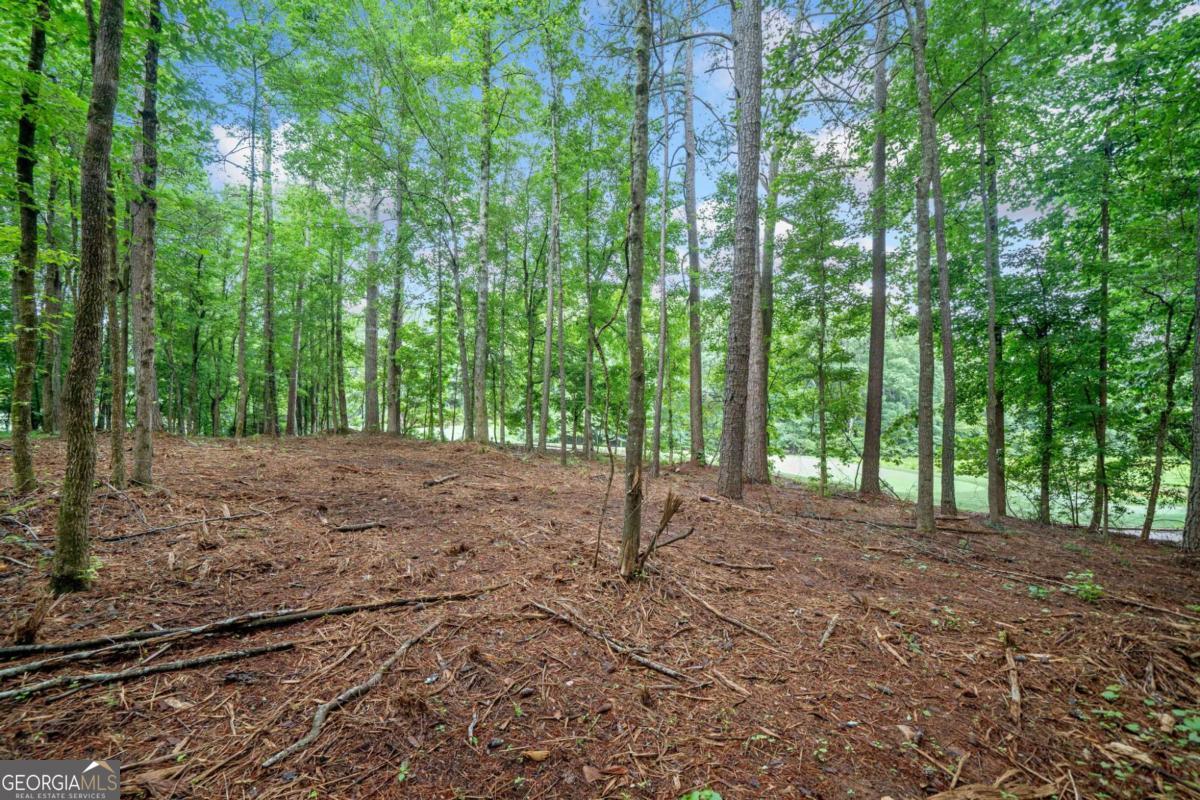 230 Brock Trail, Unit 5 Milton, GA 30004 - Photo 9 of 28 a view of outdoor space and trees