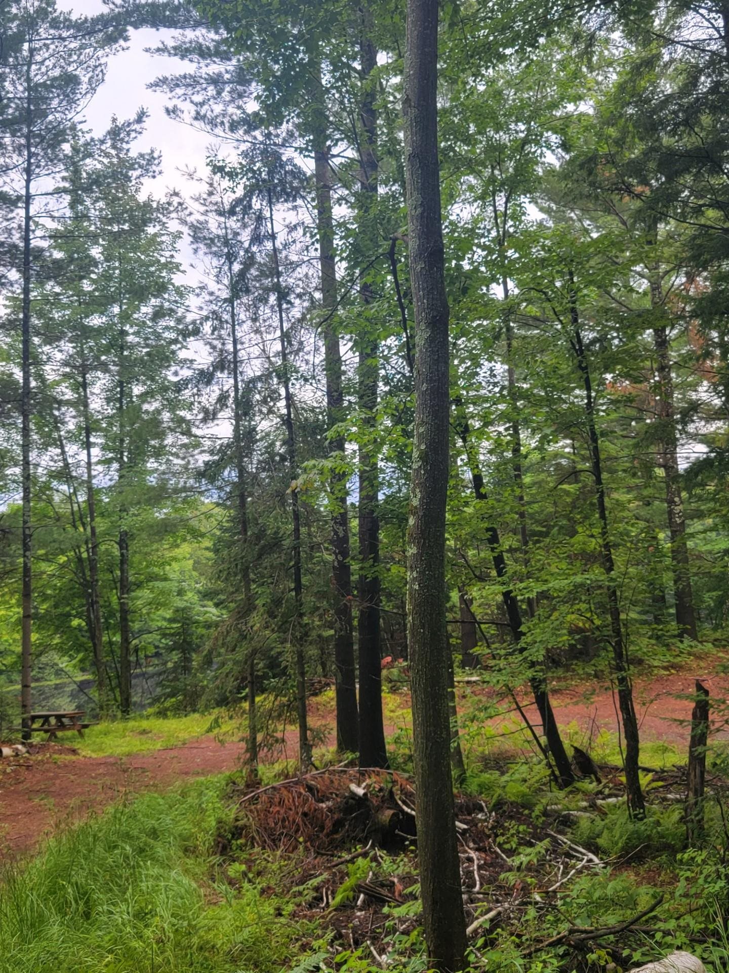 Lake Road Medford, WI 54451 - Photo 1 of 1