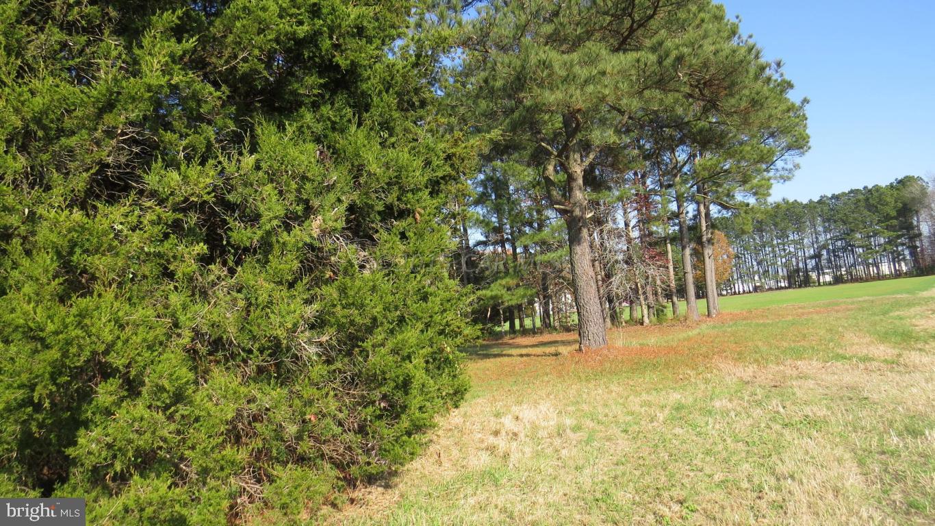 29971 Fairmount Road Westover, MD 21871 - Photo 34 of 40 Gallery Image 34