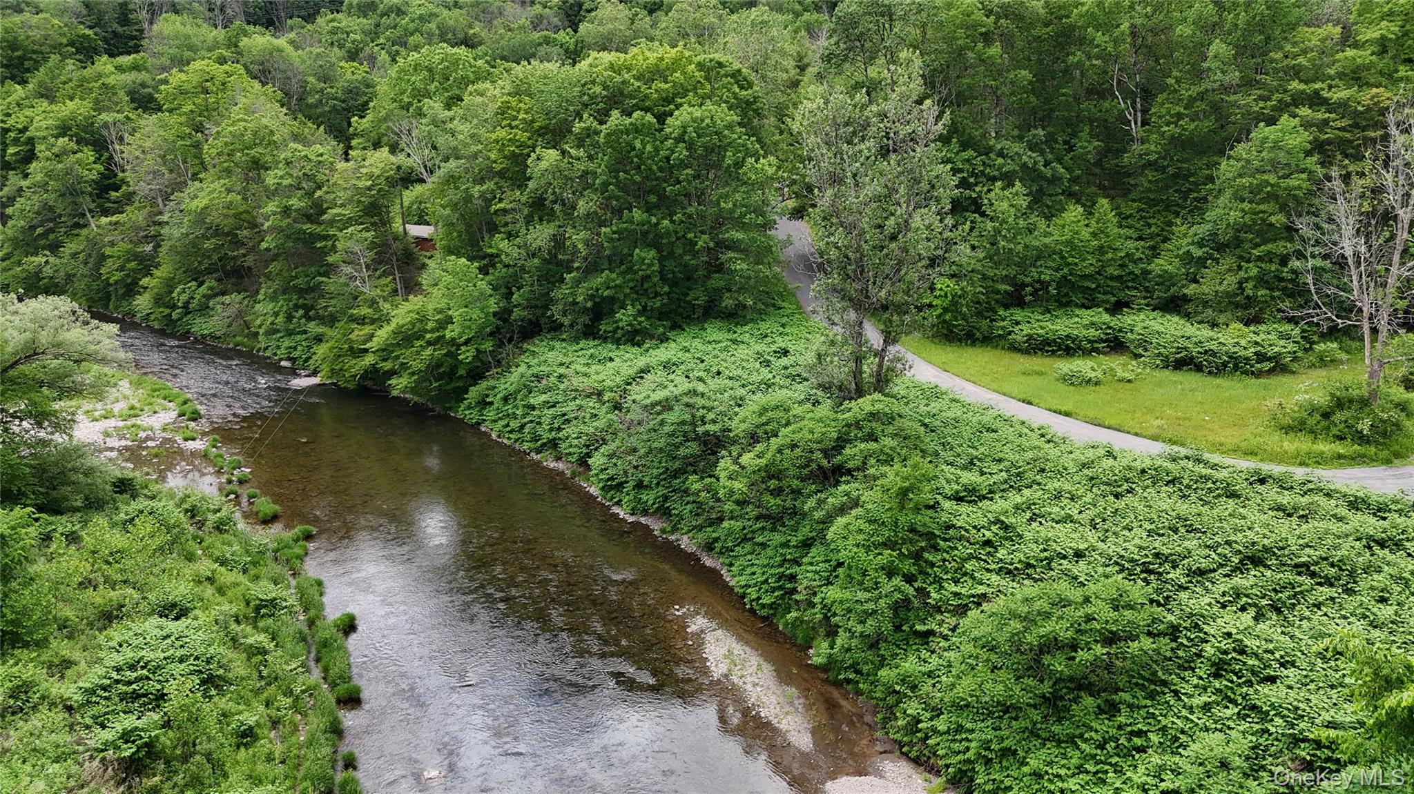 549 Gavette Road Roscoe, NY 12776 - Photo 29 of 31 a view of a lush green forest with lots of trees
