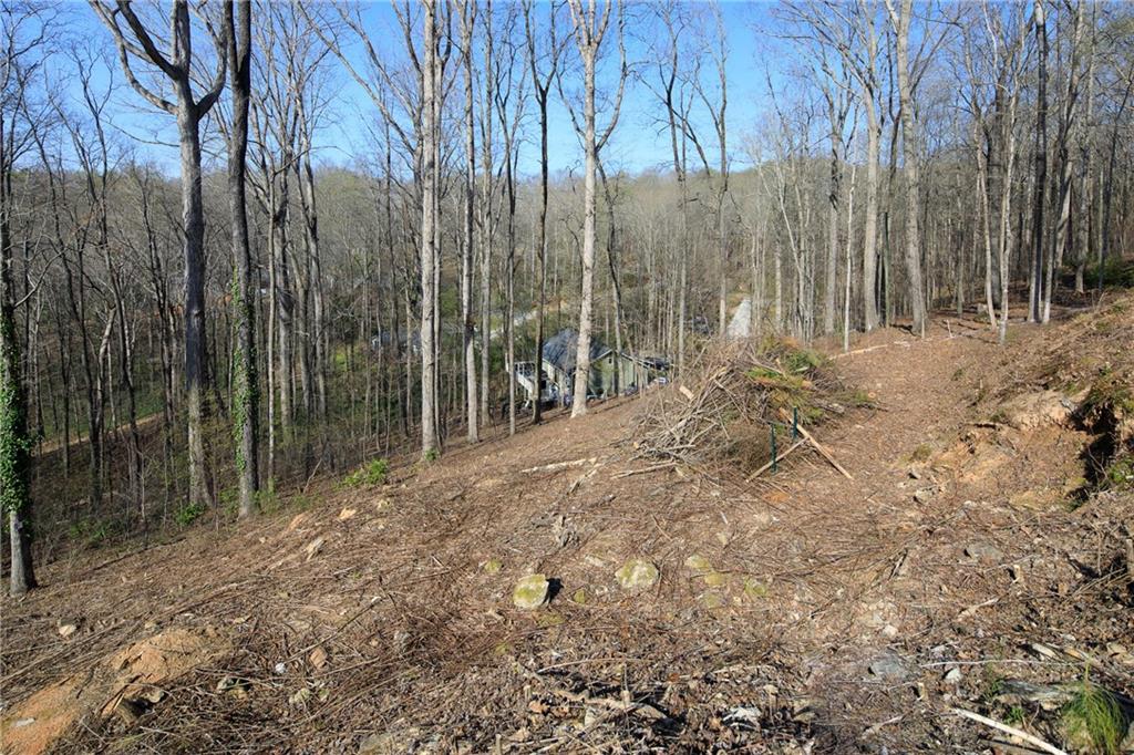 6165 Reives Road Cumming, GA 30041 - Photo 8 of 19