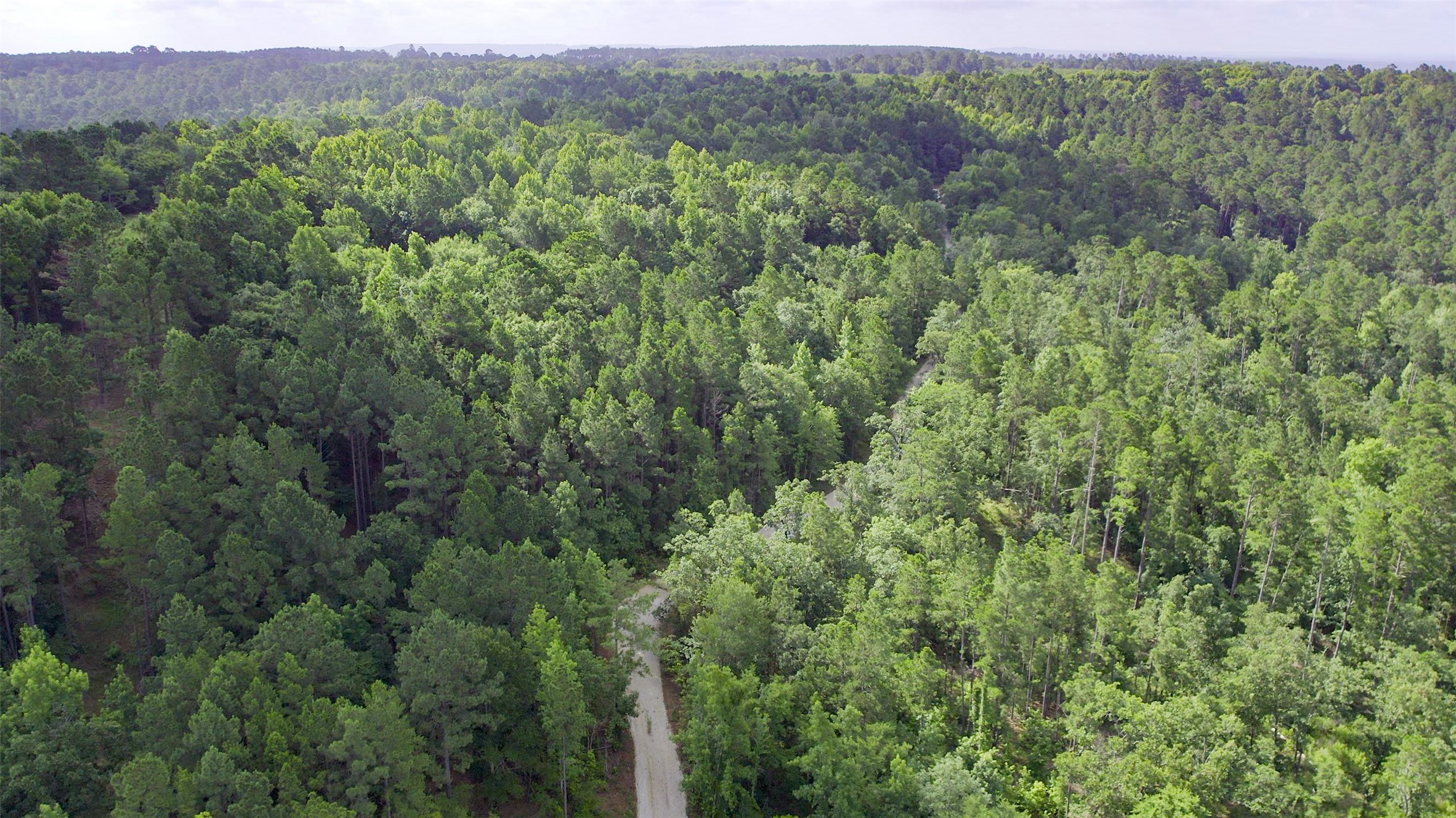 1320 County Road 2112 Rusk, TX 75785 - Photo 32 of 50 a view of a lush green forest with trees and some houses