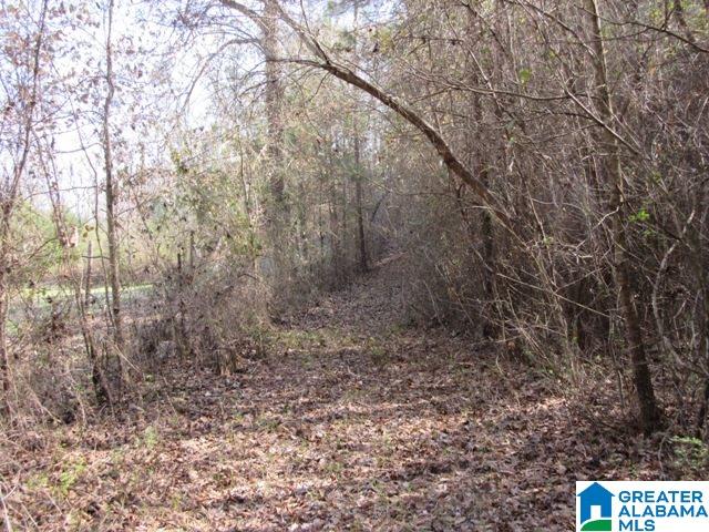 229 County Road, Unit 29 Thorsby, AL 35171 - Photo 15 of 23