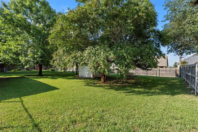 a view of a tree in a park