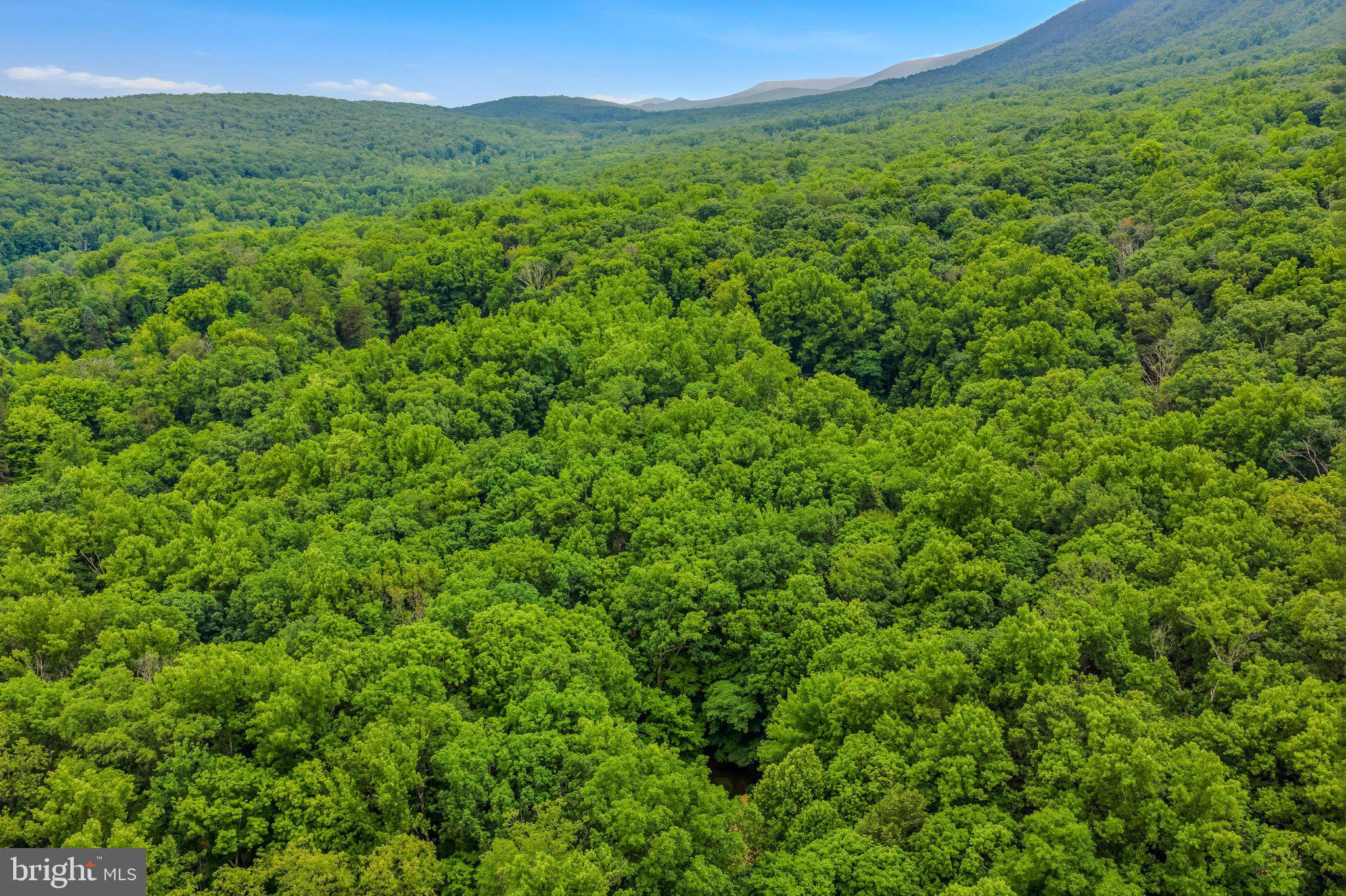 221 Mountainside Road Berkeley Springs, WV 25411 - Photo 33 of 53 Aerial View