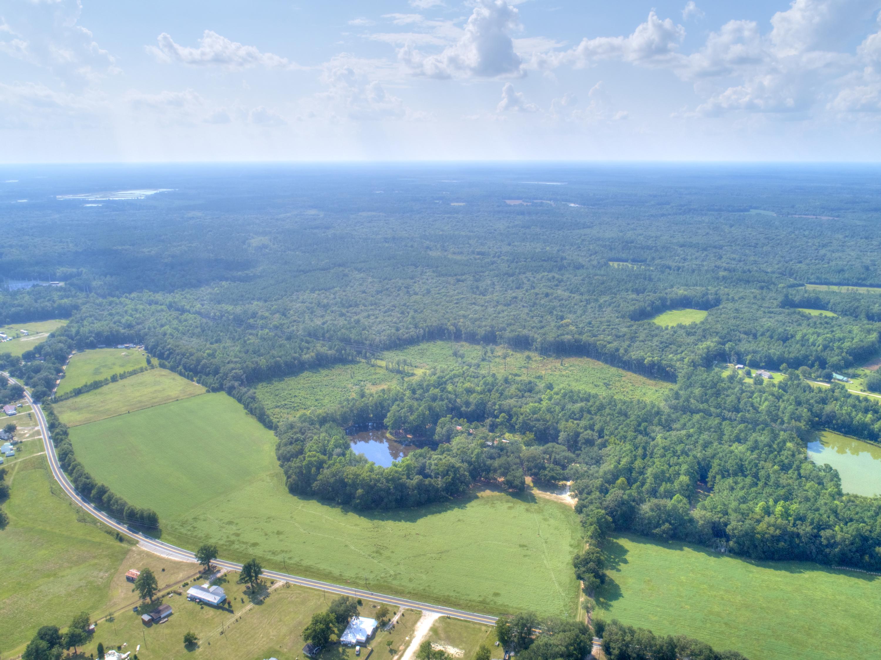 998 Ridge Road Ridgeville, SC 29472 - Photo 2 of 18 DJI_0622_4854x3639 (1)