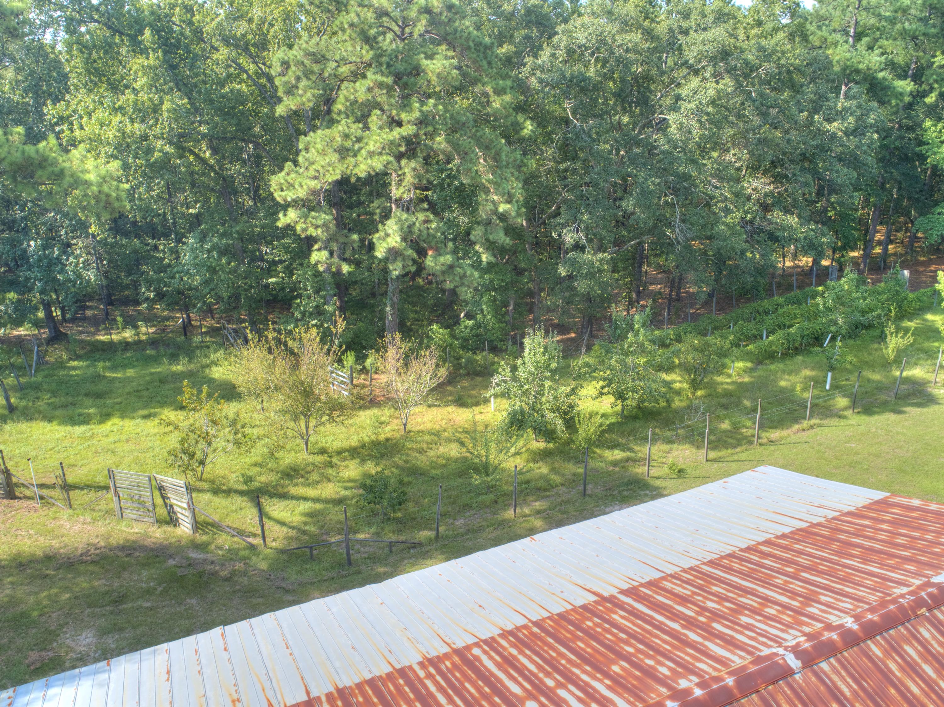 998 Ridge Road Ridgeville, SC 29472 - Photo 13 of 18 DJI_0661_4855x3638