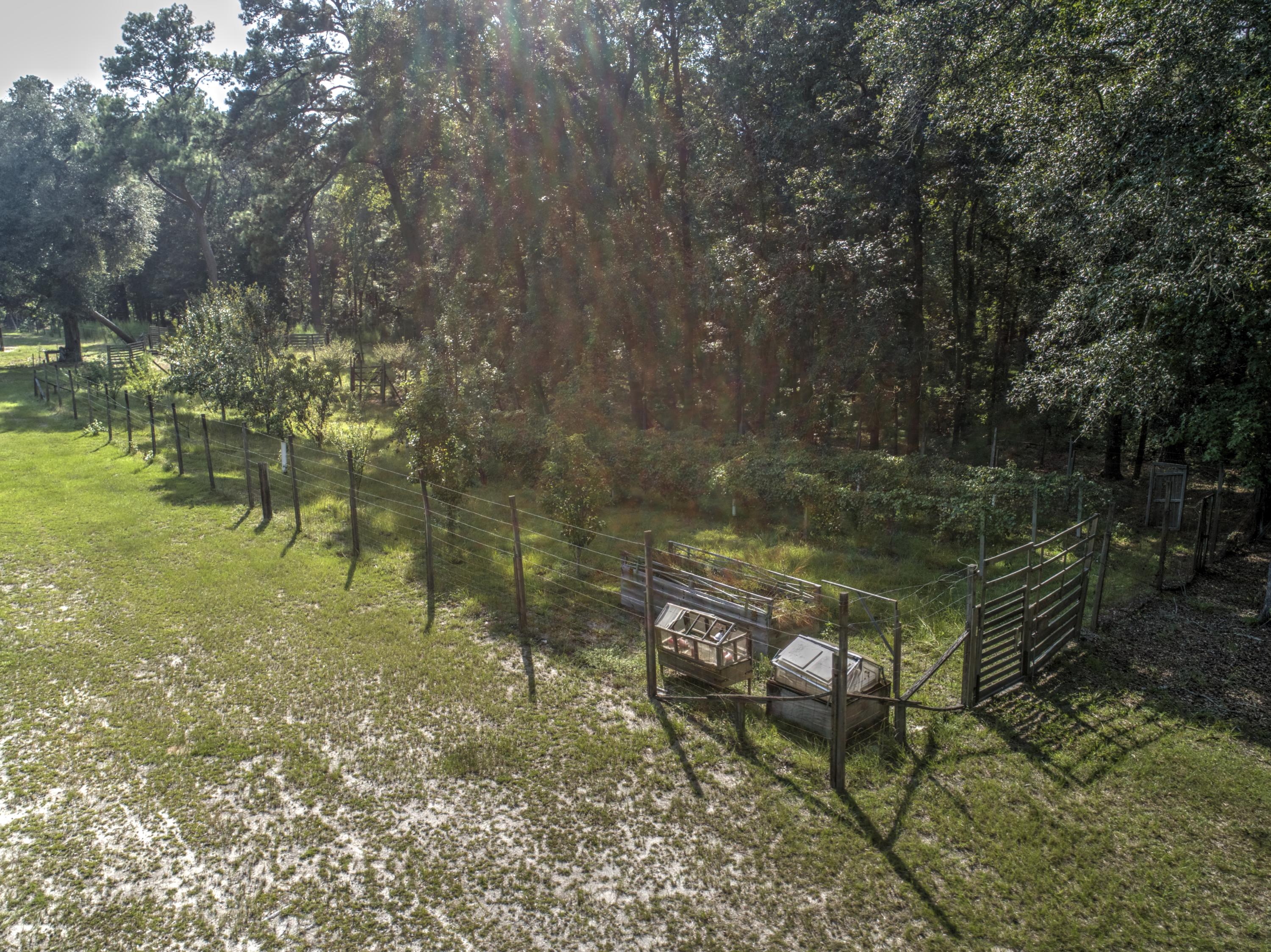 998 Ridge Road Ridgeville, SC 29472 - Photo 14 of 18 DJI_0664_4845x3632