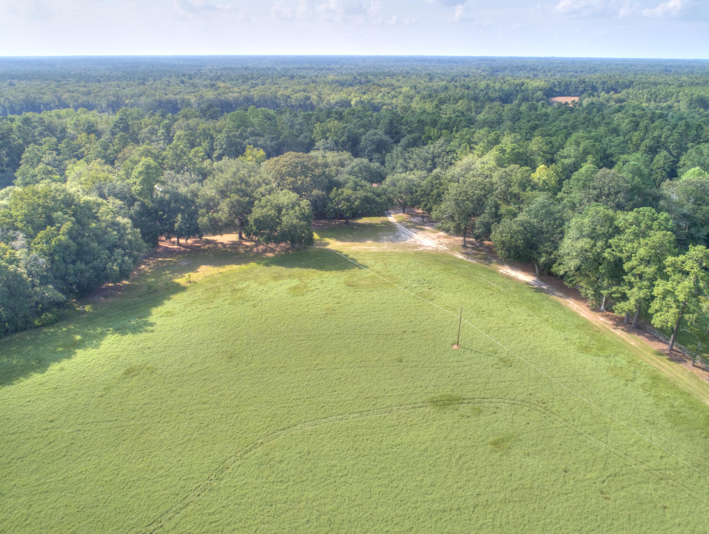 998 Ridge Road Ridgeville, SC 29472 - Photo 18 of 18 DJI_0688_4827x3635 (2)
