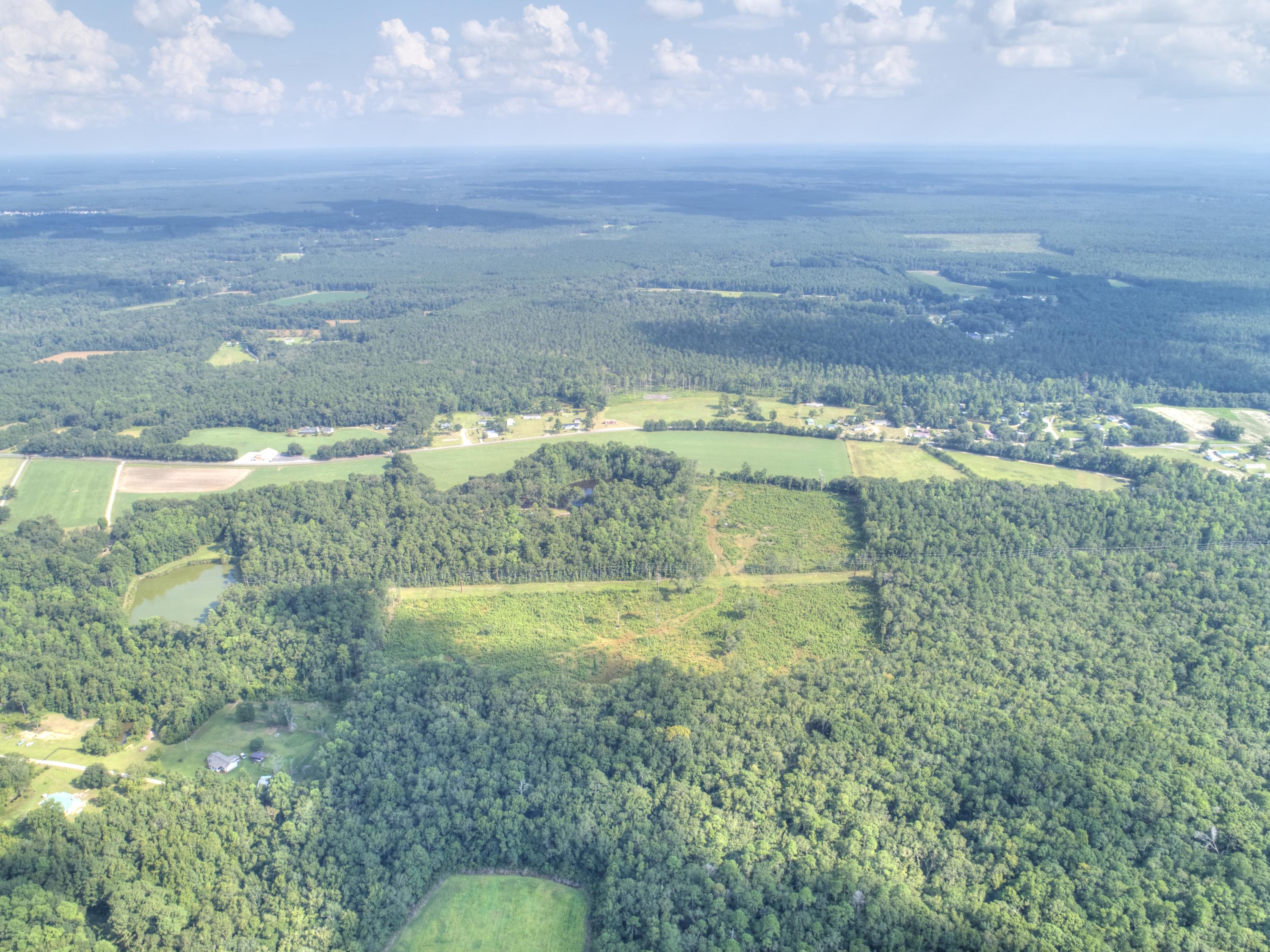 998 Ridge Road Ridgeville, SC 29472 - Photo 9 of 18 DJI_0642_4853x3639