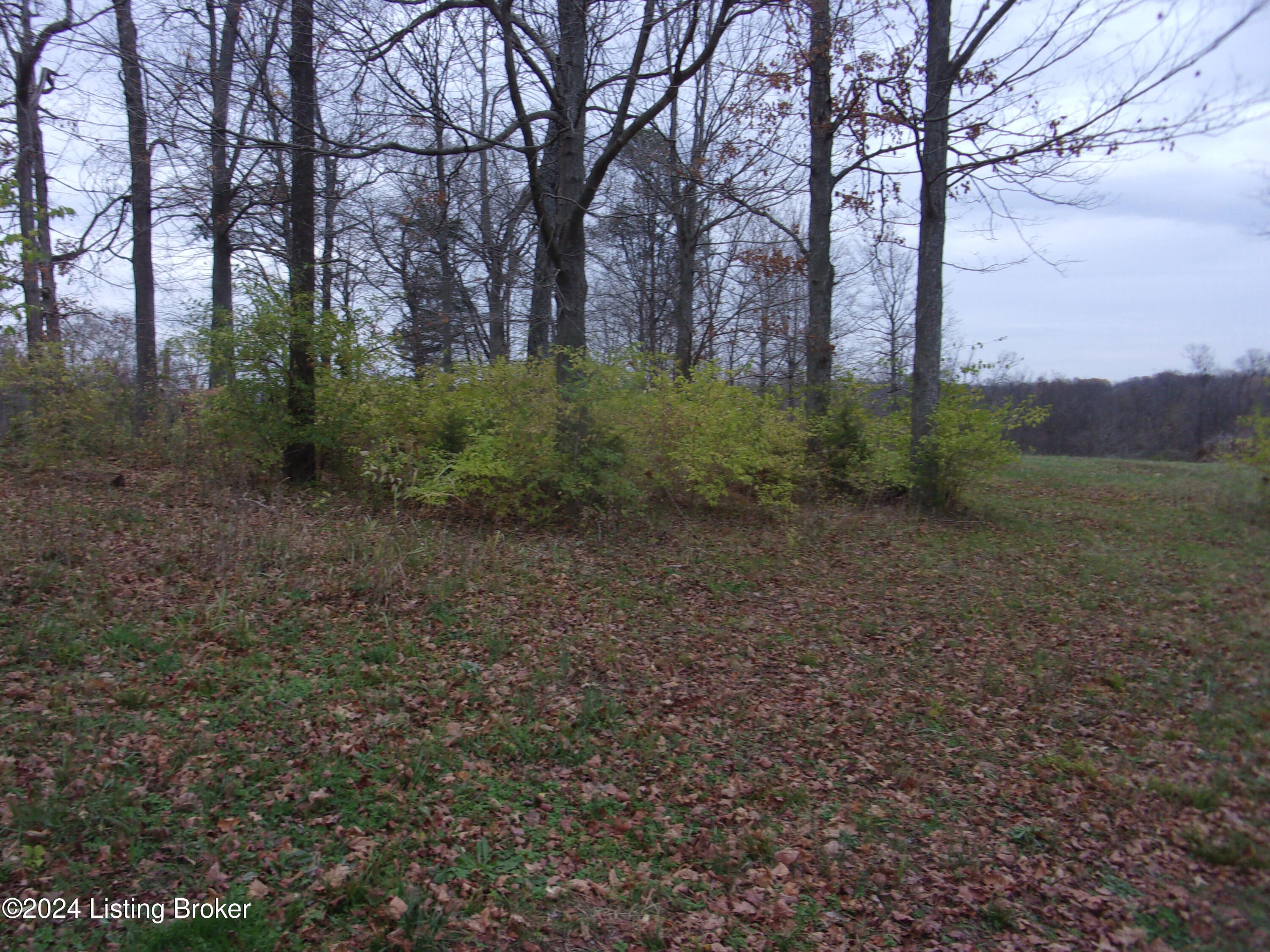 705 Greer Road Taylorsville, KY 40071 - Photo 10 of 12 101_6397