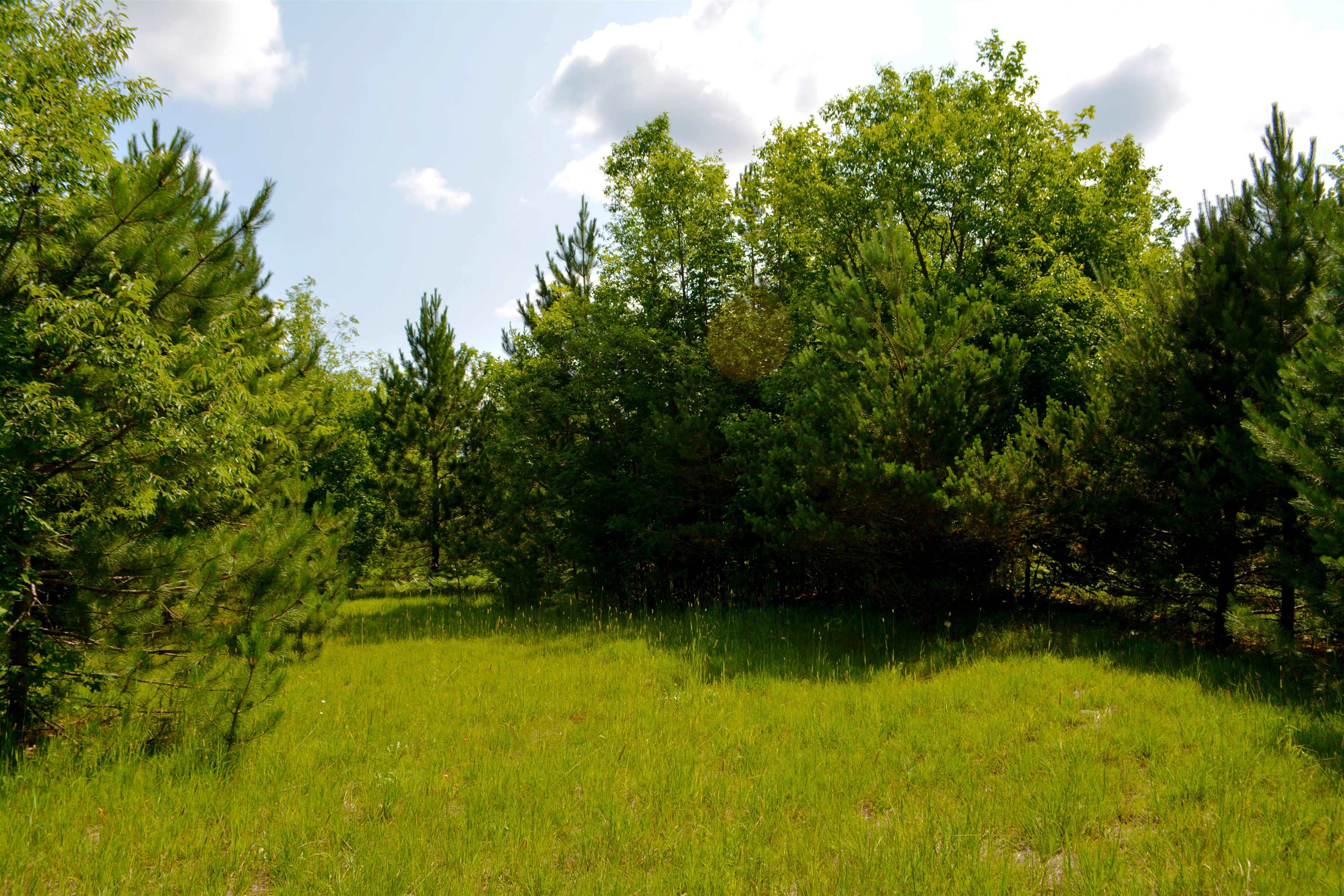 5483 Myers Road Northeast Kalkaska, MI 49646 - Photo 20 of 29 1913372-19.JPG