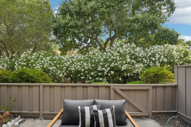 a view of a garden from a window