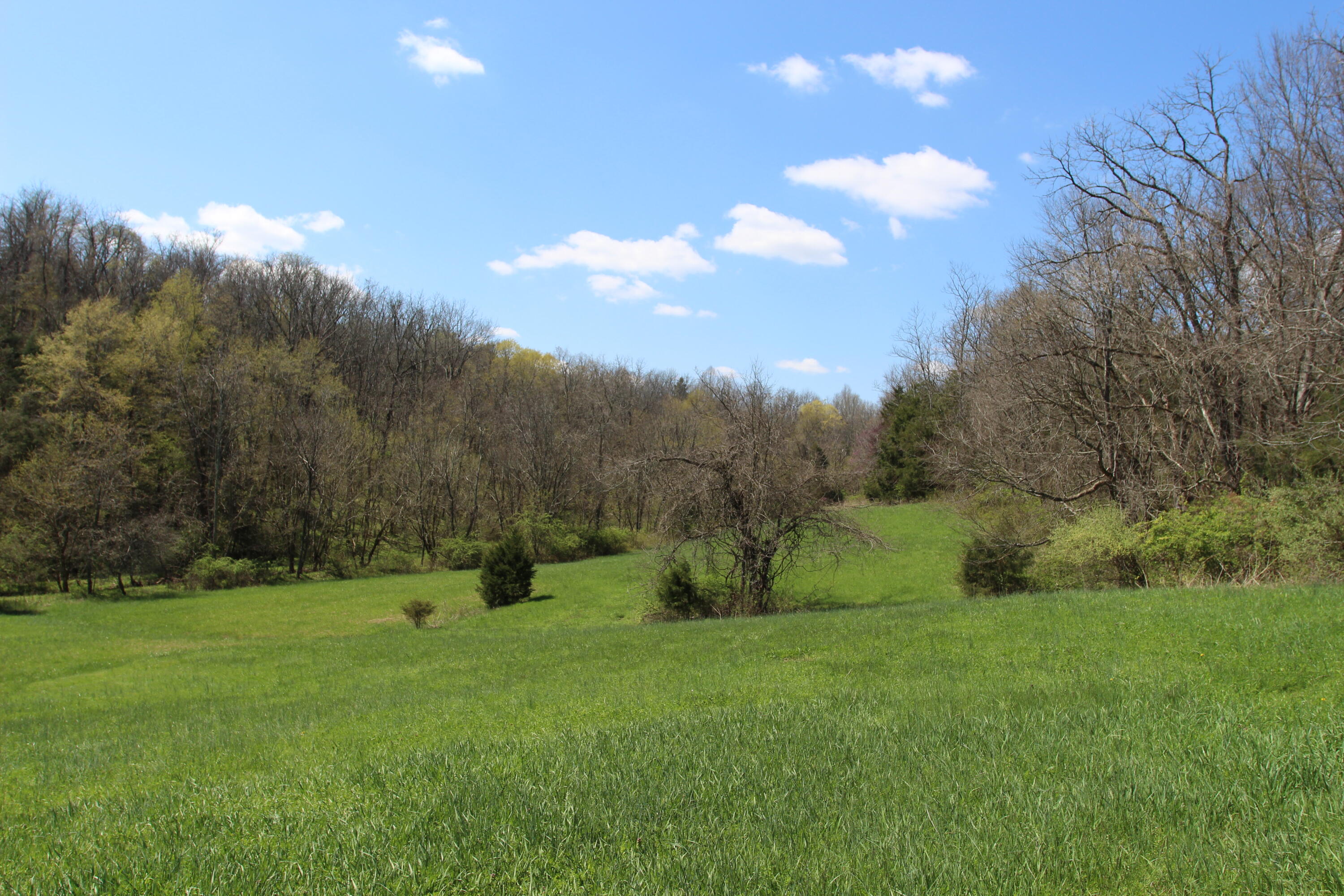 127 Owenton Road Owenton, KY 40359 - Photo 32 of 33 1- land owen county (31)
