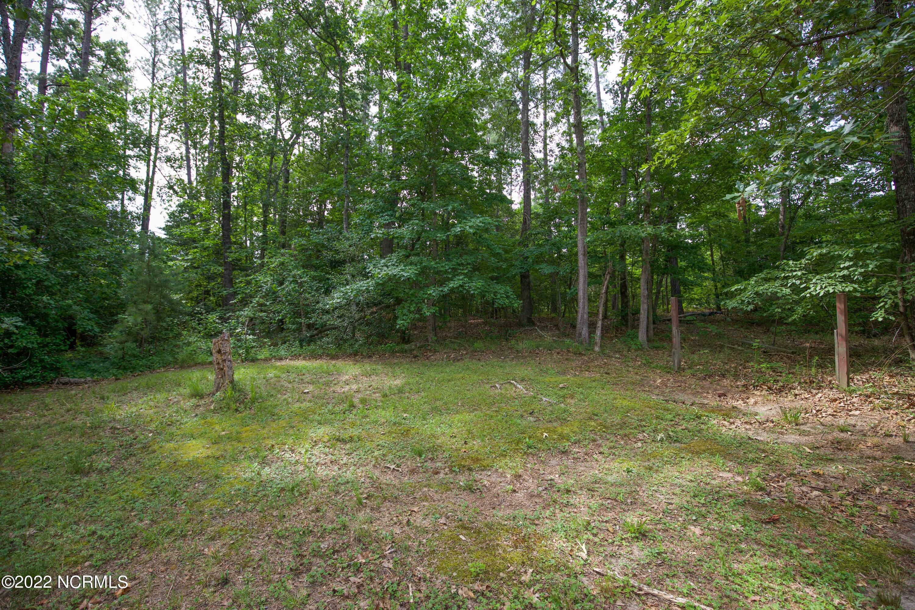 269 Sandy Oak Road Carthage, NC 28327 - Photo 26 of 28 Yard