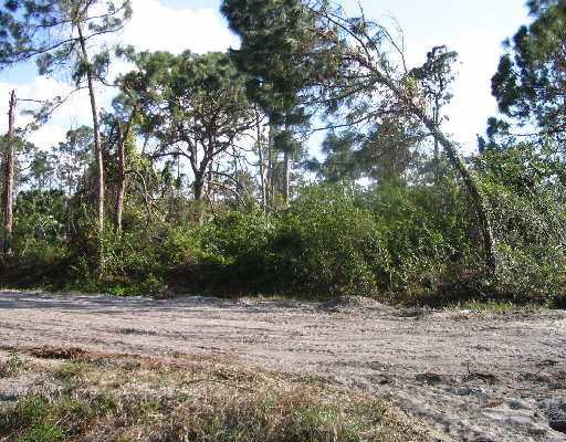 Xxx 90th Rd N Loxahatchee, FL 33470 - Photo 1 of 3 Primary Photo