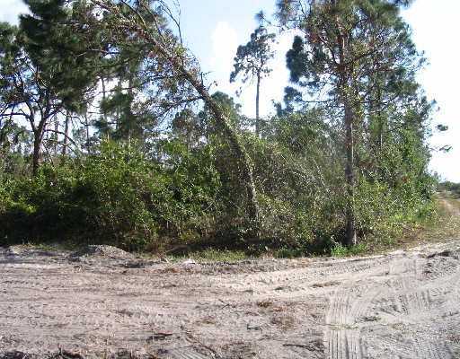 Xxx 90th Rd N Loxahatchee, FL 33470 - Photo 2 of 3 Additional Photo