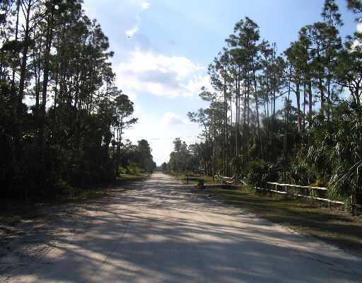 Xxx 90th Rd N Loxahatchee, FL 33470 - Photo 3 of 3 Additional Photo