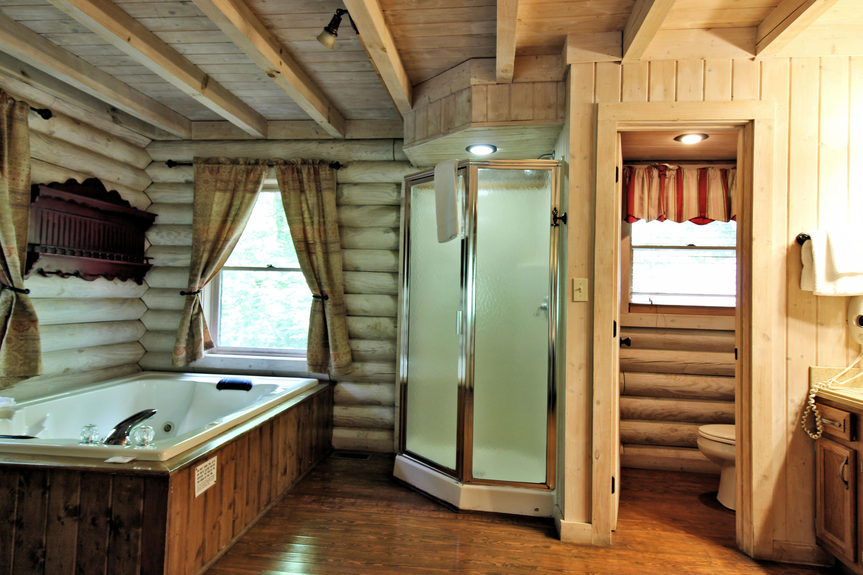 3710 Shadyview Ridge Road Sevierville, TN 37876 - Photo 9 of 18 Master Bath