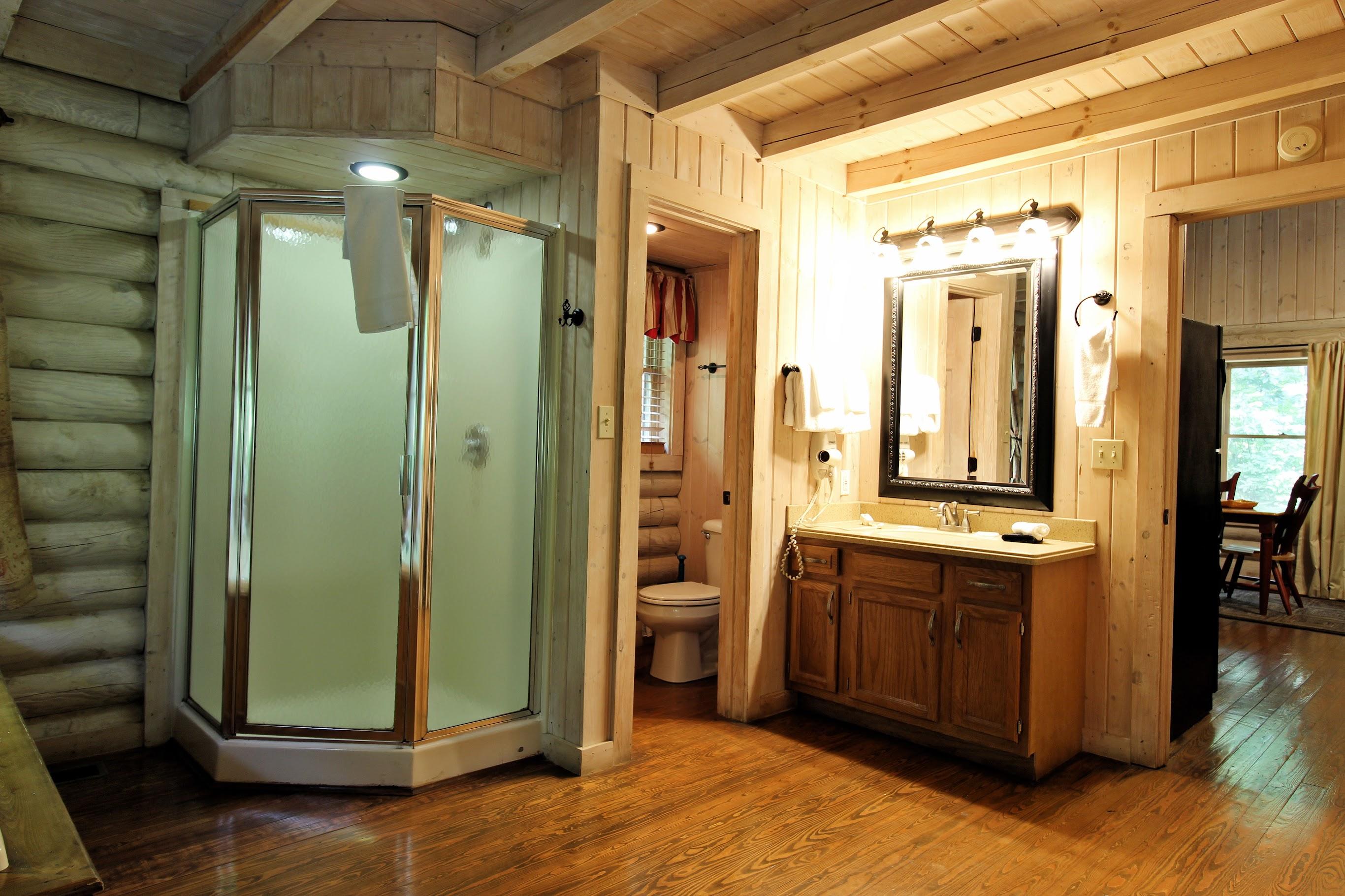 3710 Shadyview Ridge Road Sevierville, TN 37876 - Photo 10 of 18 Master Bath