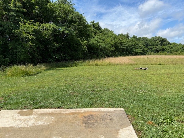 1316 Old Cowan Road Winchester, TN 37398 - Photo 23 of 23 a view of outdoor space and yard