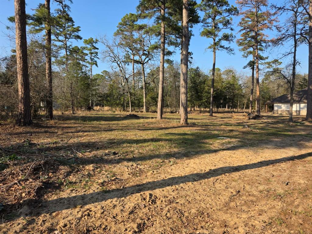 Lot 36-37 King Charles Road Scroggins, TX 75480 - Photo 3 of 14 a view of a yard with large trees