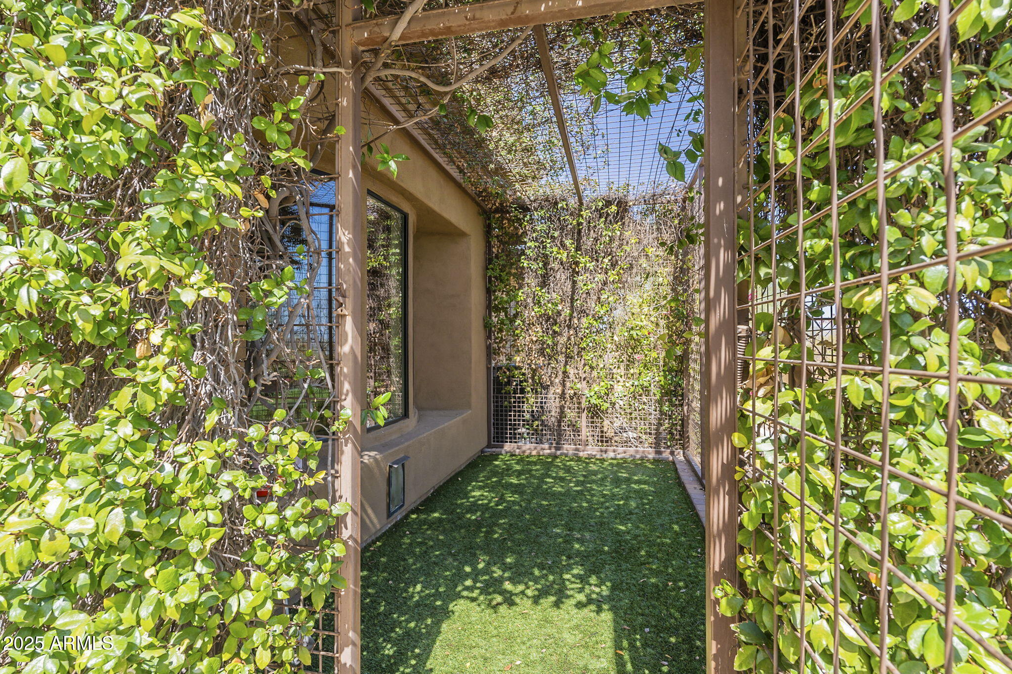 15135 East Monument Road Scottsdale, AZ 85262 - Photo 44 of 65 Dog run (3)