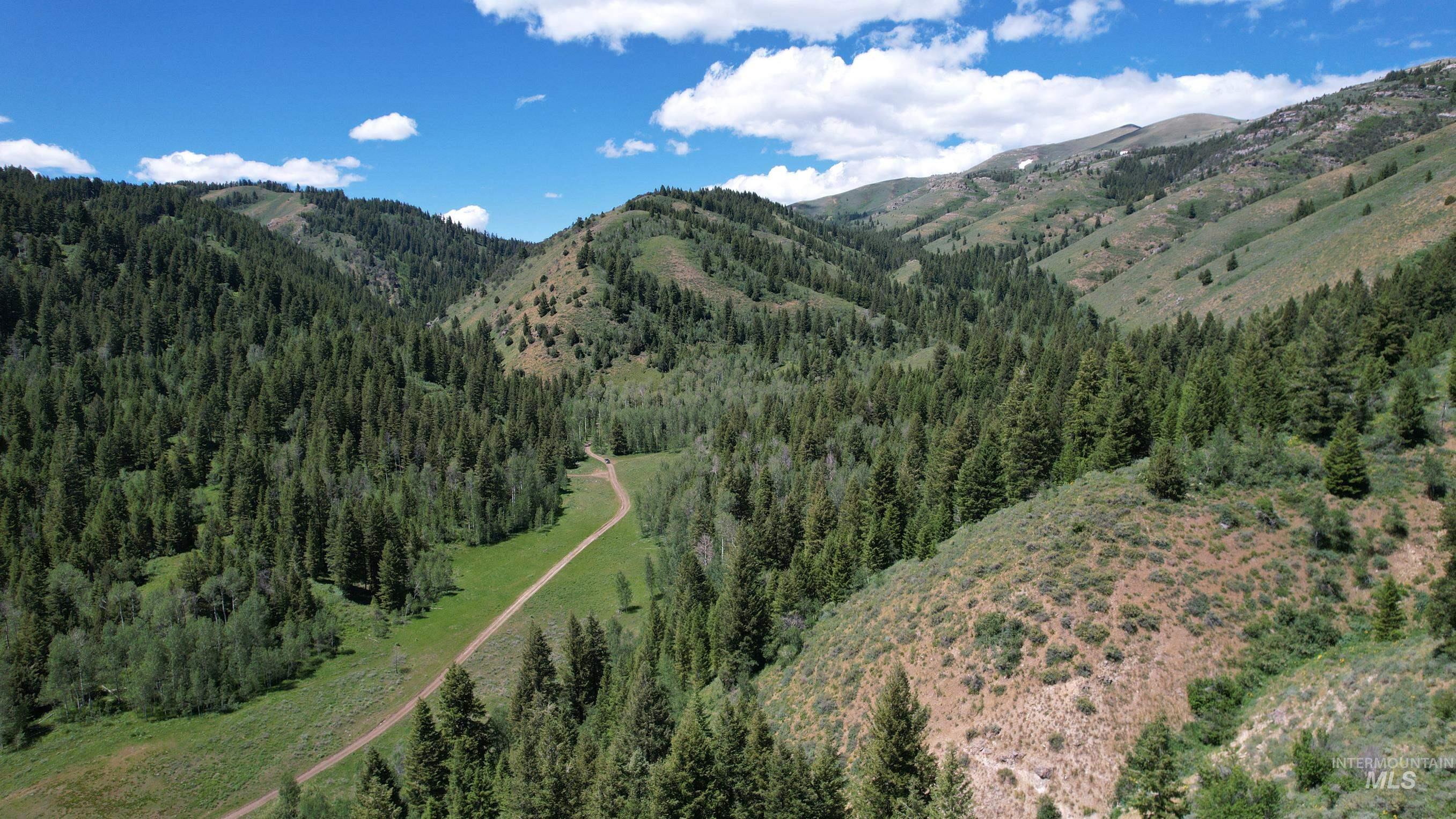 Tbd South Bull Canyon Road Rockland, ID 83271 - Photo 13 of 24
