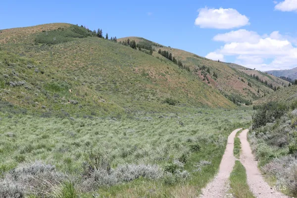 $2,500,000 | Tbd South Bull Canyon Road, Rockland, ID 83271