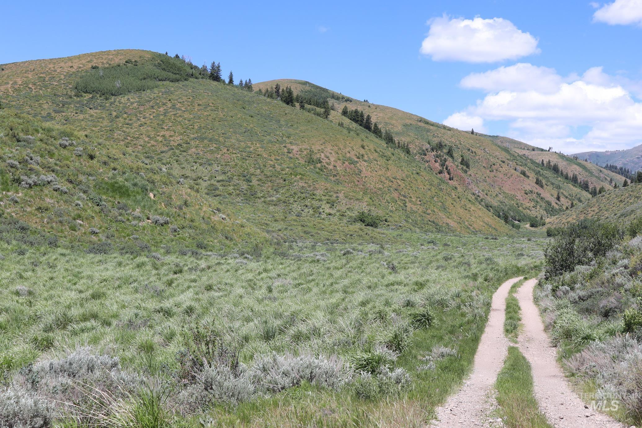 Tbd South Bull Canyon Road Rockland, ID 83271 - Photo 15 of 24